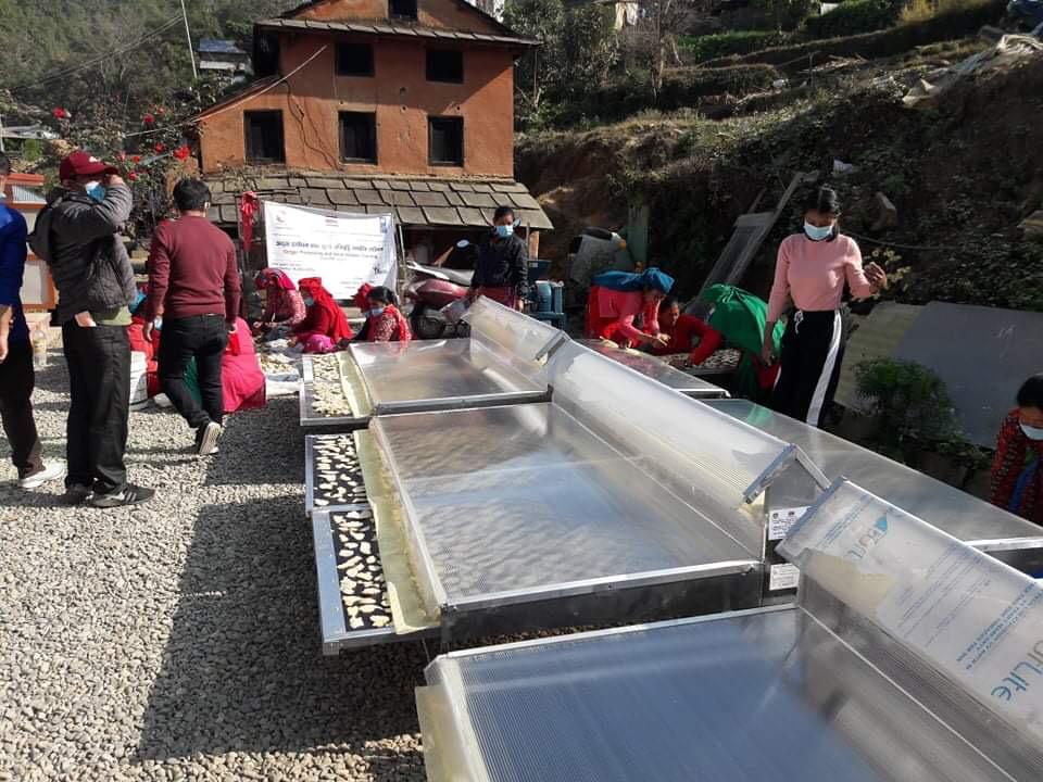 Solar conduction dryers deployed at Manakamana Mahila Krishi Samuha