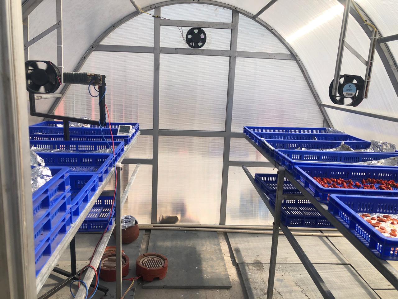 Internal tray racks and circulation fans inside the greenhouse dryer at Sanga